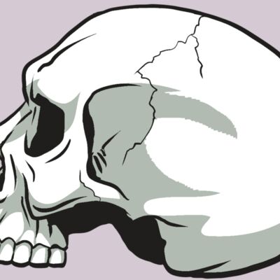 AR24 SKULL 11 RQC Thumbnail