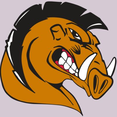 AR RAZORBACK 19 RC Thumbnail