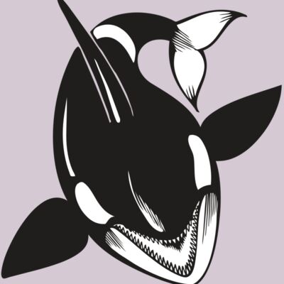 BAW KLRWHALE 01 RC Thumbnail