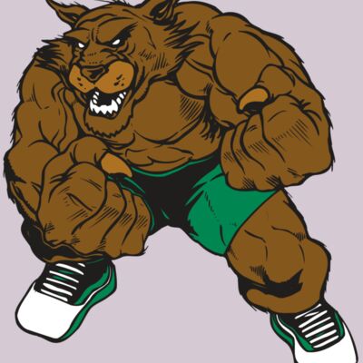 AR WILDCAT 45 RC Thumbnail