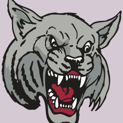 AR WILDCAT 42 RC Thumbnail