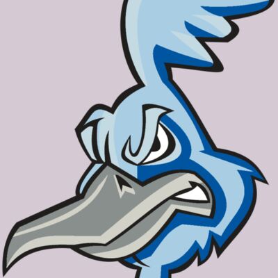 ROADRUNNER HD0501 RQC Thumbnail