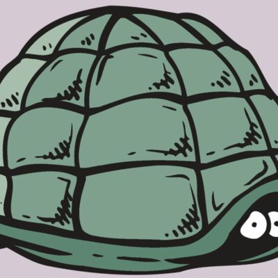 AR5 Turtle 10 RQC Thumbnail