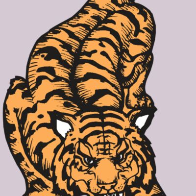 BAW TIGER 01 RC Thumbnail