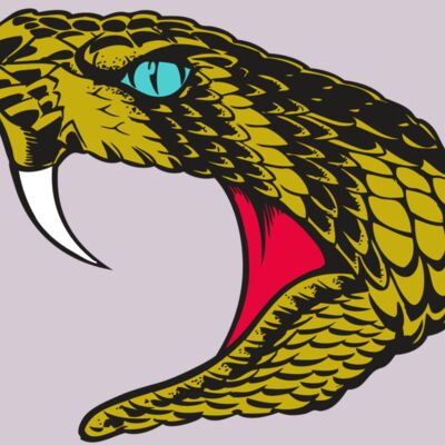 BAW SNAKE 16 RC Thumbnail