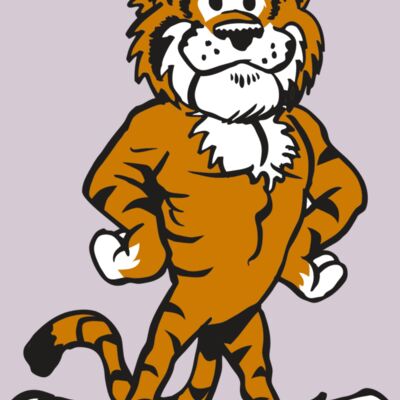 AR TIGER 91 RC Thumbnail