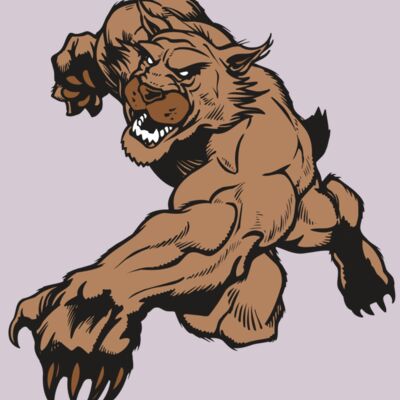 AR WILDCAT 47 RC Thumbnail