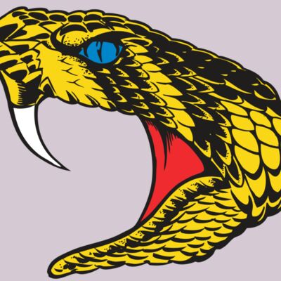 BAW SNAKE 06 RC Thumbnail