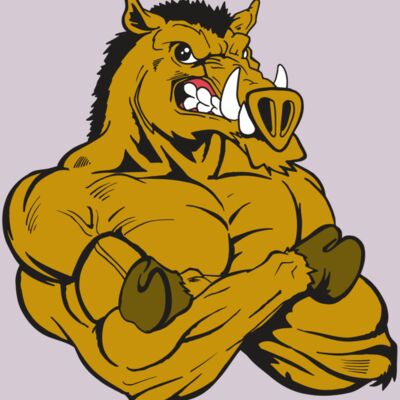 AR5 Razorback 17 RQC Thumbnail