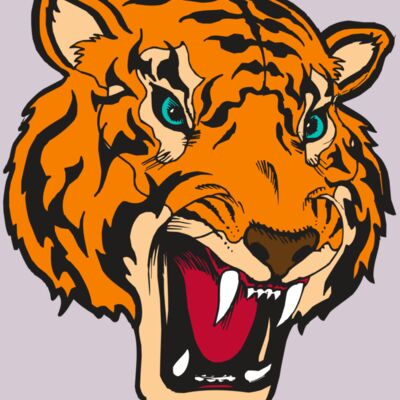 BAW TIGER 12 RC Thumbnail