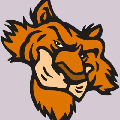 AR5 Tiger 16 RQC Thumbnail