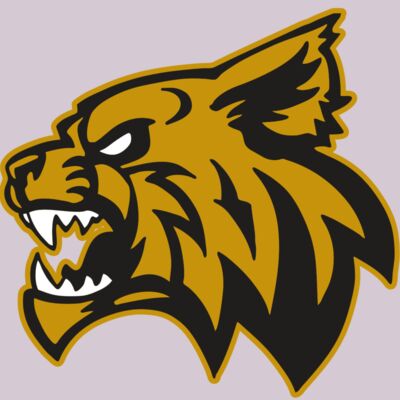 AR WILDCAT 16 RC Thumbnail