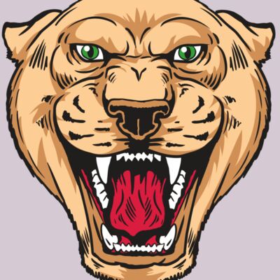 AR13 PNTHR 01 RQC Thumbnail