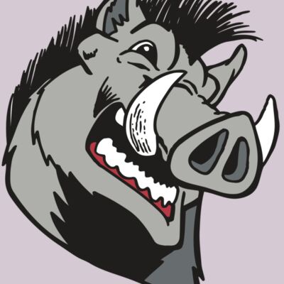 AR RAZORBACK 15 RC Thumbnail