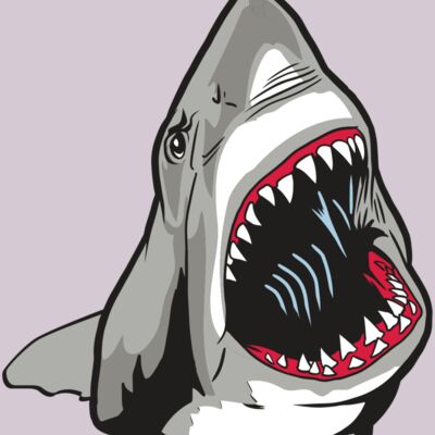 AR20 SHARK 45 RQC Thumbnail