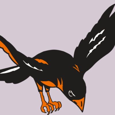 AR ORIOLE 16 RC Thumbnail