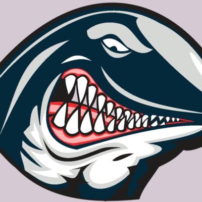 WHALE HD0501 RQC Thumbnail