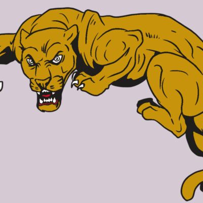 AR10 PANTHER 02 RQC Thumbnail