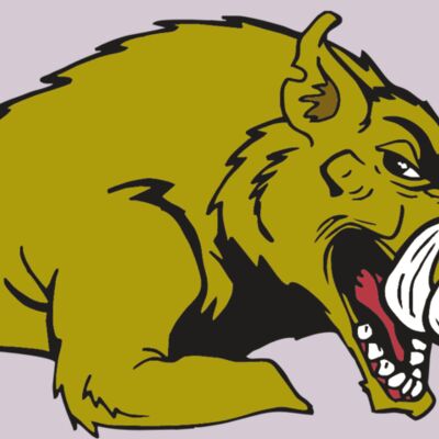 AR RAZORBACK 23 RC Thumbnail