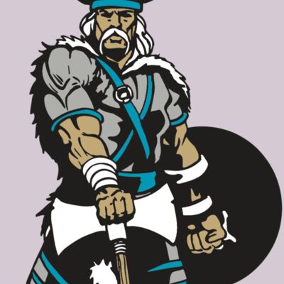 AR VIKING 41 RC Thumbnail