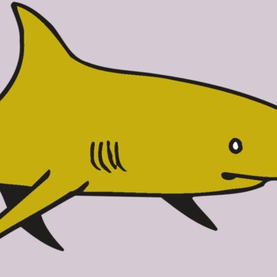 AR  SHARK 30 RC Thumbnail