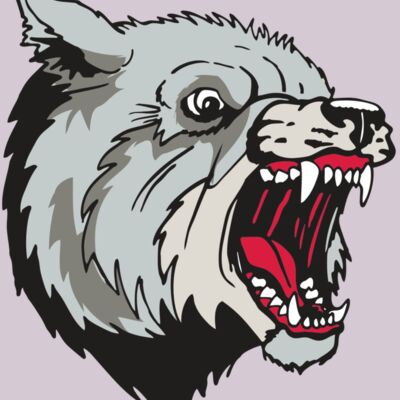 AR WOLF 38 RC Thumbnail