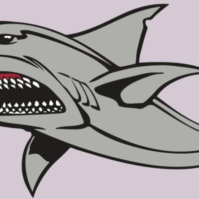 BAW SHARK 03 RC Thumbnail