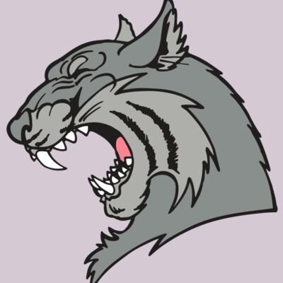 AR WILDCAT 41 RC Thumbnail