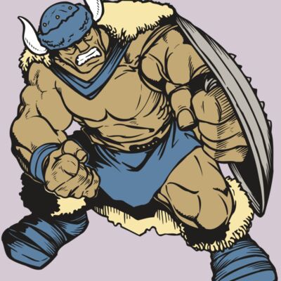 AR VIKING 36 RC Thumbnail