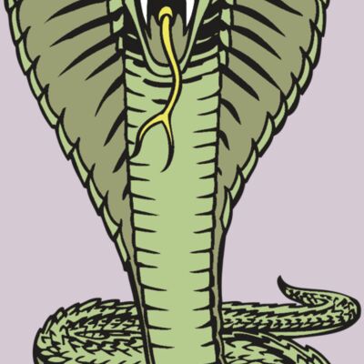 BAW SNAKE 15 RC Thumbnail