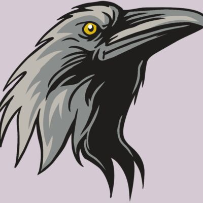 AR31 RAVEN 01 RQC Thumbnail