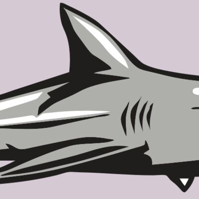 AR9 SHARK 01 RQC Thumbnail