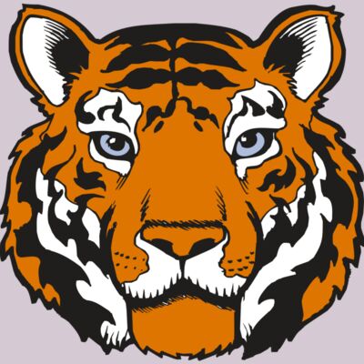 BAW TIGER 02 RC Thumbnail