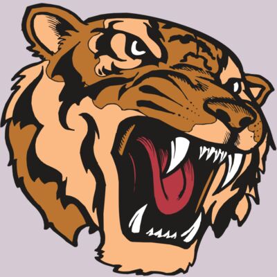 BAW TIGER 07 RC Thumbnail