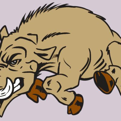 AR20 RAZORBACK 37 RQC Thumbnail