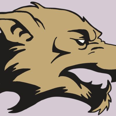 AR5 Wolf 12 RQC Thumbnail