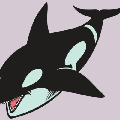 BAW KLRWHALE 02 RC Thumbnail