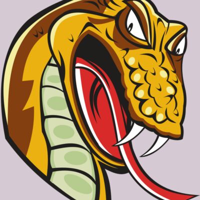 SNAKE HD0502 RQC Thumbnail