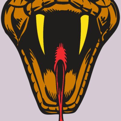 BAW SNAKE 05 RC Thumbnail