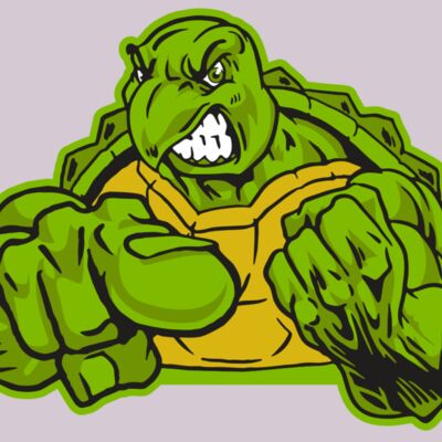 AR31 TURTLE 02 RQC Thumbnail