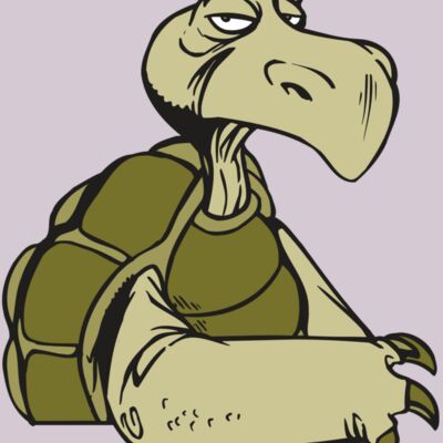 AR5 Turtle 01 RQC Thumbnail