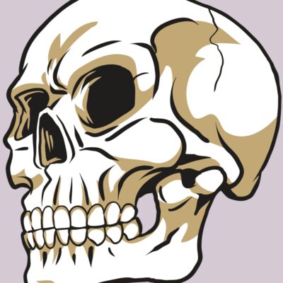 AR24 SKULL 08 RQC Thumbnail